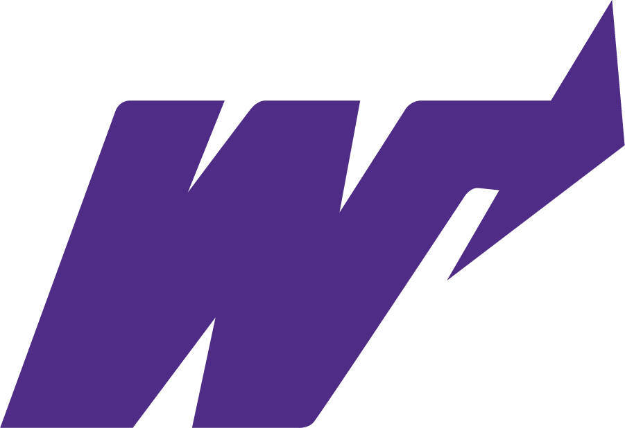 Weber State Wildcats 1973-1996 Primary Logo DIY iron on transfer (heat transfer)